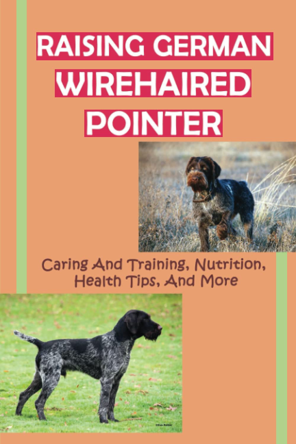 Raising German Wirehaired Pointer: Caring And Training, Nutrition, Health Tips, And More: How To Raise A German Wirehaired Pointer