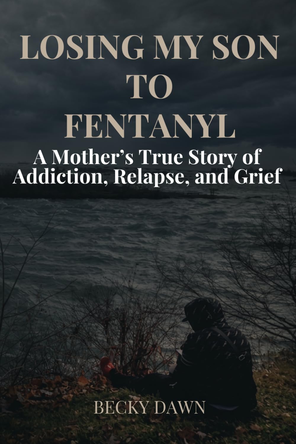 LOSING MY SON TO FENTANYL: A Mother’s True Story of Addiction, Relapse, and Grief