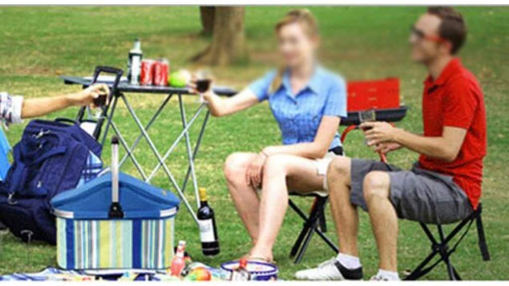 Cesta Picnic Familia aislada Cesta de Picnic, Bolsa de Almuerzo Térmica Gran ​Espacio Plegable para Trabajo Viaje Playa Picnic (Color : Pink)