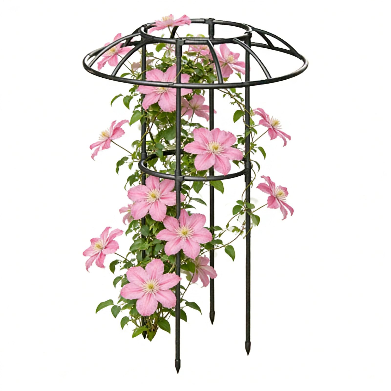 Enrejado Paraguas para Jardin | Soporte Decorativo Robusto para Plantas Trepadoras | Estructura de Soporte en Forma de Sombrilla,para Enredadera Rosa Pitaya Pepino Hortensia Jazmín Pothos