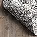 nuLOOM Wynn Braided Indoor/Outdoor Area Rug- 2' x 3', Light Grey/Salt and Pepper, Rectangular, 0.3