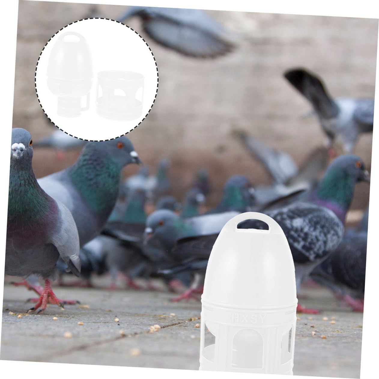 balacoo Bird Watering Supplies Pigeon Water Feeder Automatic Water Dispenser for Pigeon Feeders Decorative Practical
