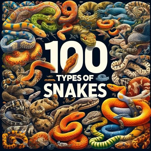 『100 Types of Snakes』のカバーアート