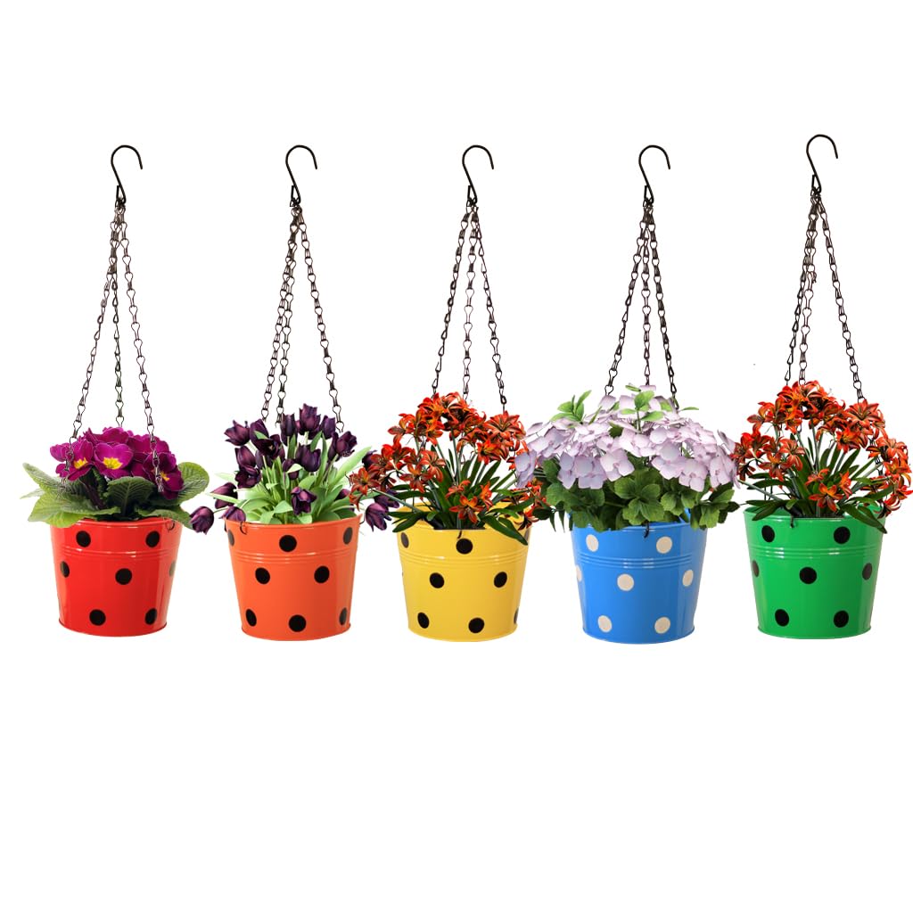 TrustBasket Dotted Round Hanging Basket - Set of 5 (Red, Yellow, Green, Orange, Blue) (B07PY7SFXG) Amazon Price History, Amazon Price Tracker