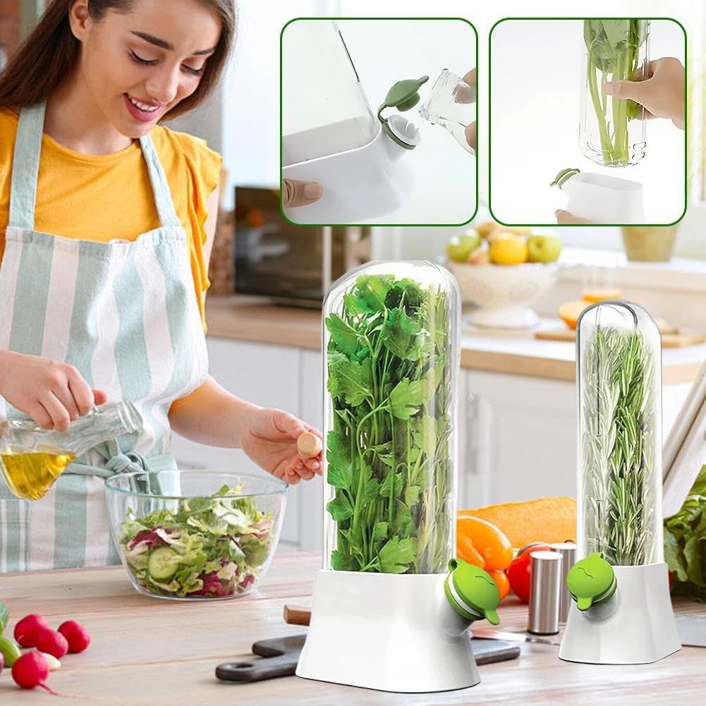 Contenitori per erbe fresche, contenitore per verdure ed erbe aromatiche, per coriandolo, prodotti freschi, frigoriferi, contenitori ermetici per alimenti, conservanti per erbe ecologiche