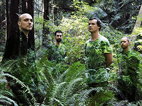 Sunny Day Real Estate