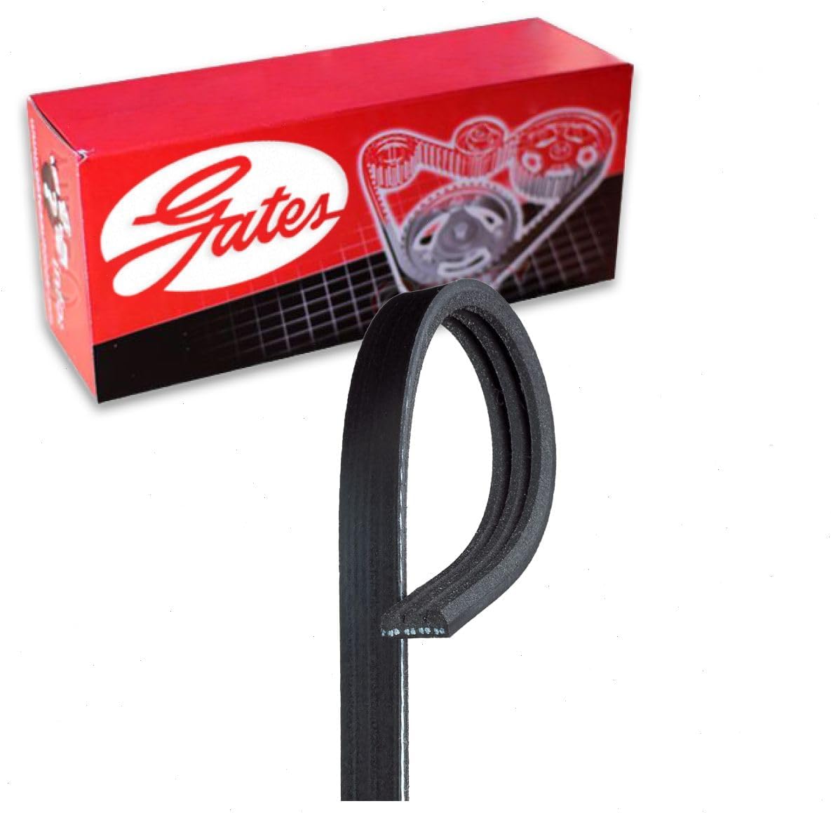 Gates Water Pump Stretch Fit Micro-V Serpentine Belt compatible with Hyundai Santa Fe Sport 2.0L 2.4L L4 2016-2018