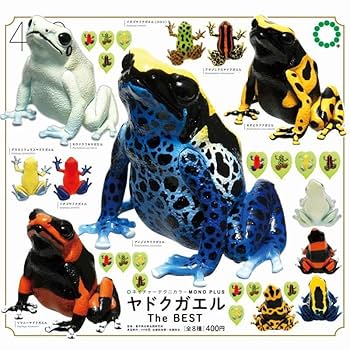 Amazon.co.jp: ネイチャーテクニカラー MONO ヤドクガエル The