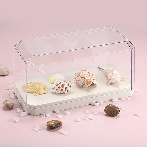 Miniatura 8 de Hipiwe Vitrina de exhibición a prueba de polvo, modelo de coches, escaparate rectangular coleccionable, caja de exhibición con base beige, vitrina