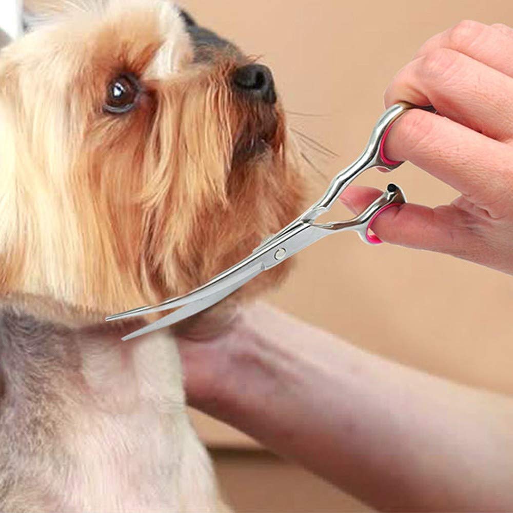 Ciseaux de Toilettage pour Chiens, 6 Pouces, Acier Inoxydable 304, Réglable, Incurvé, Ambidextre, Pour la Coupe de cheveux des Animaux de Compagnie
