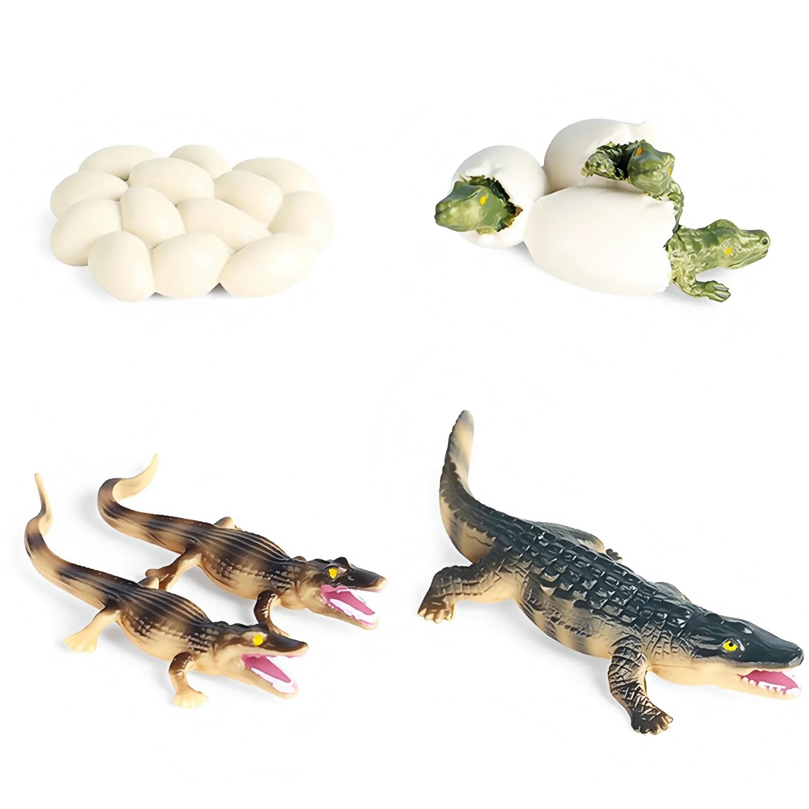 XNHIU 4 Pieces Crocodile Life Cycle Toys Plastic Crocodile And Eggs Figurines Simulation Realistic Crocodile Toy for Easter Party Decoration Animal Learning Set