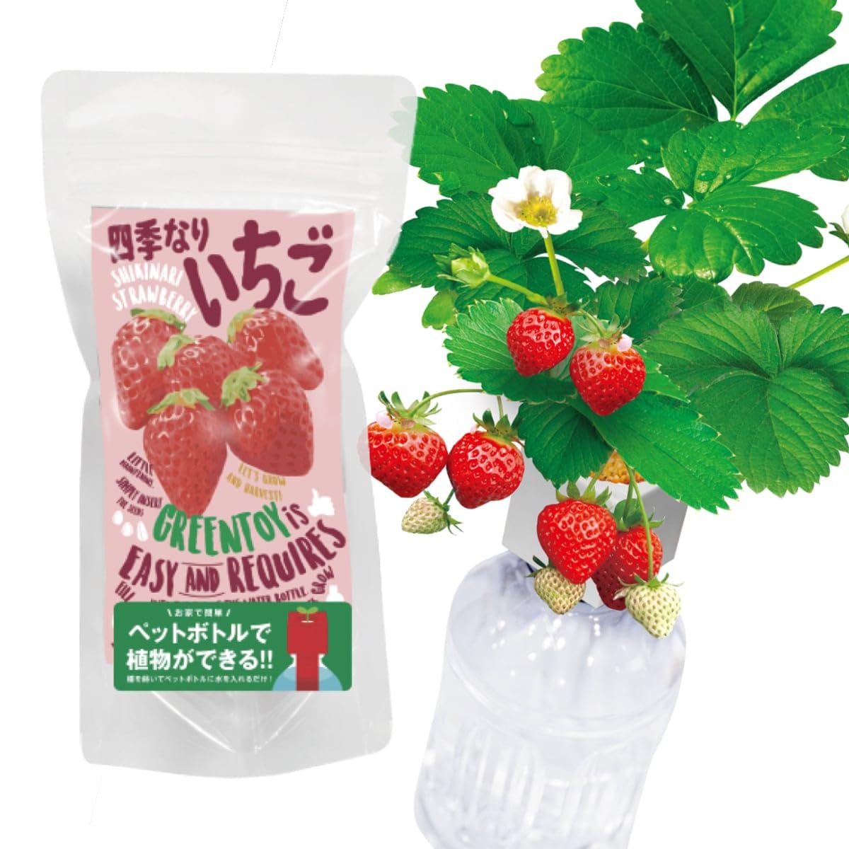 Amazon.co.jp: 室内 栽培キット いちご 簡単 ペットボトルで育てる栽培