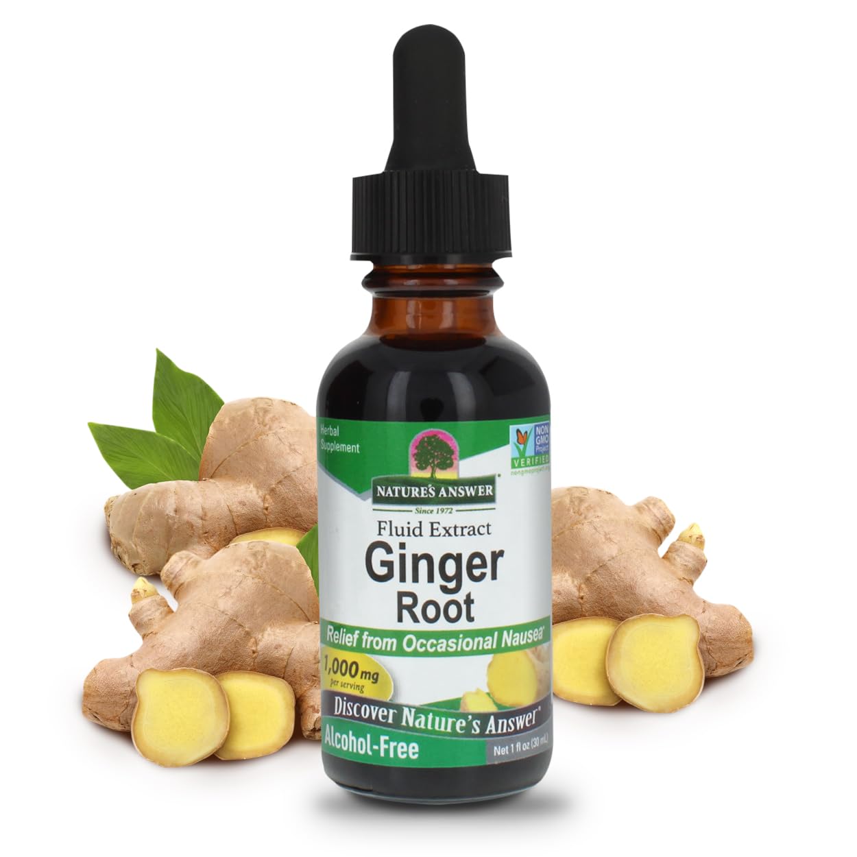 Nature's Answer Alcohol-Free Ginger Root, 1-Fluid Ounce | Inflammatory Support | Helps Maintain Healthy Digestion