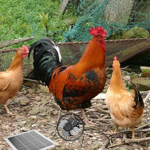 Ventilador solar para ático ideal para casas de mascotas y reducir el calor del tejado de 10w 6