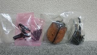 いきもの大図鑑アドバイス カブトムシ04 ヘラクレス タカ アイドル お笑い タレント 芸能人グッズ