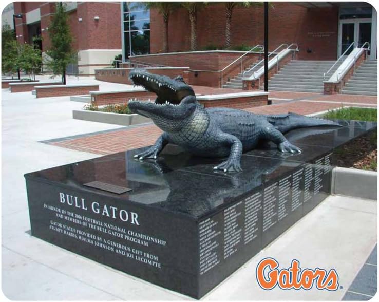 NCAA Florida Gators Bull Gator Statue Full Color Print