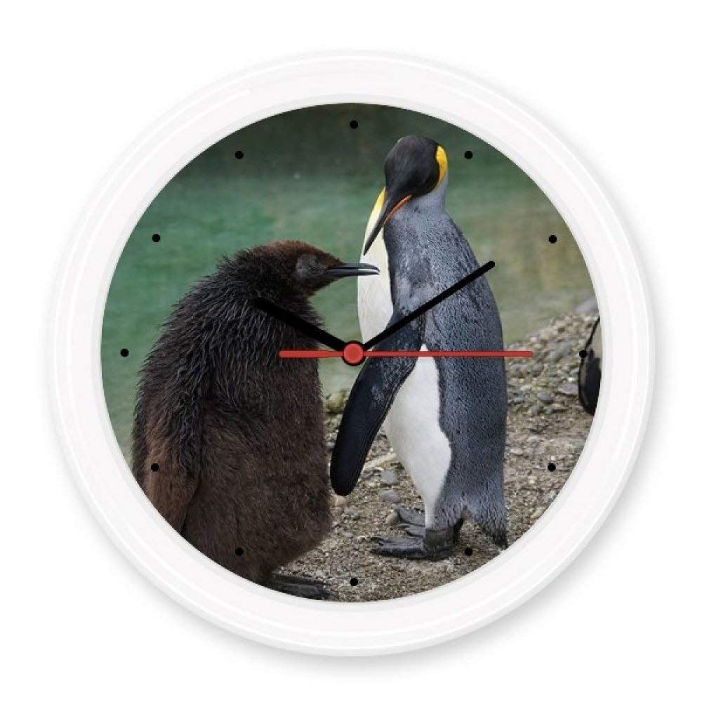 Horloge murale antarctique ronde, cadeau idéal sur la nature