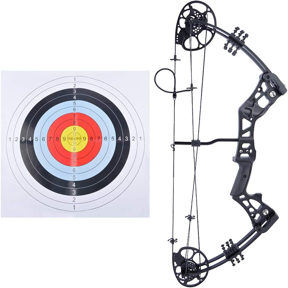 ZSHJGJR Archery Compound Bow and Arrow Set Beginners Youth Compound Bow Kit 15-45lbs Draw Weight 18"-29" Draw Length Adjustable for Hunting Target Practice Right Hand
