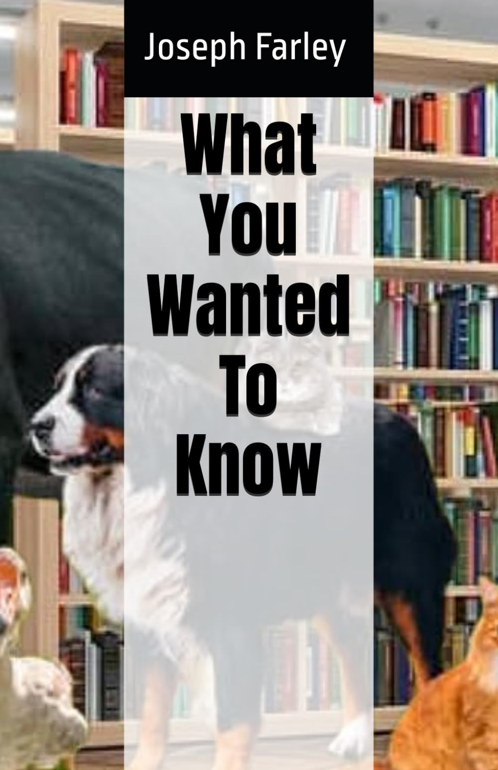 What You Wanted To Know