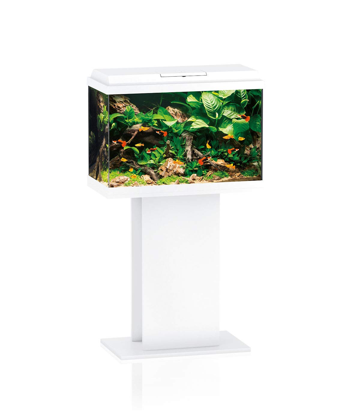 Juwel Primo 70 Stand Sb - White 60-50