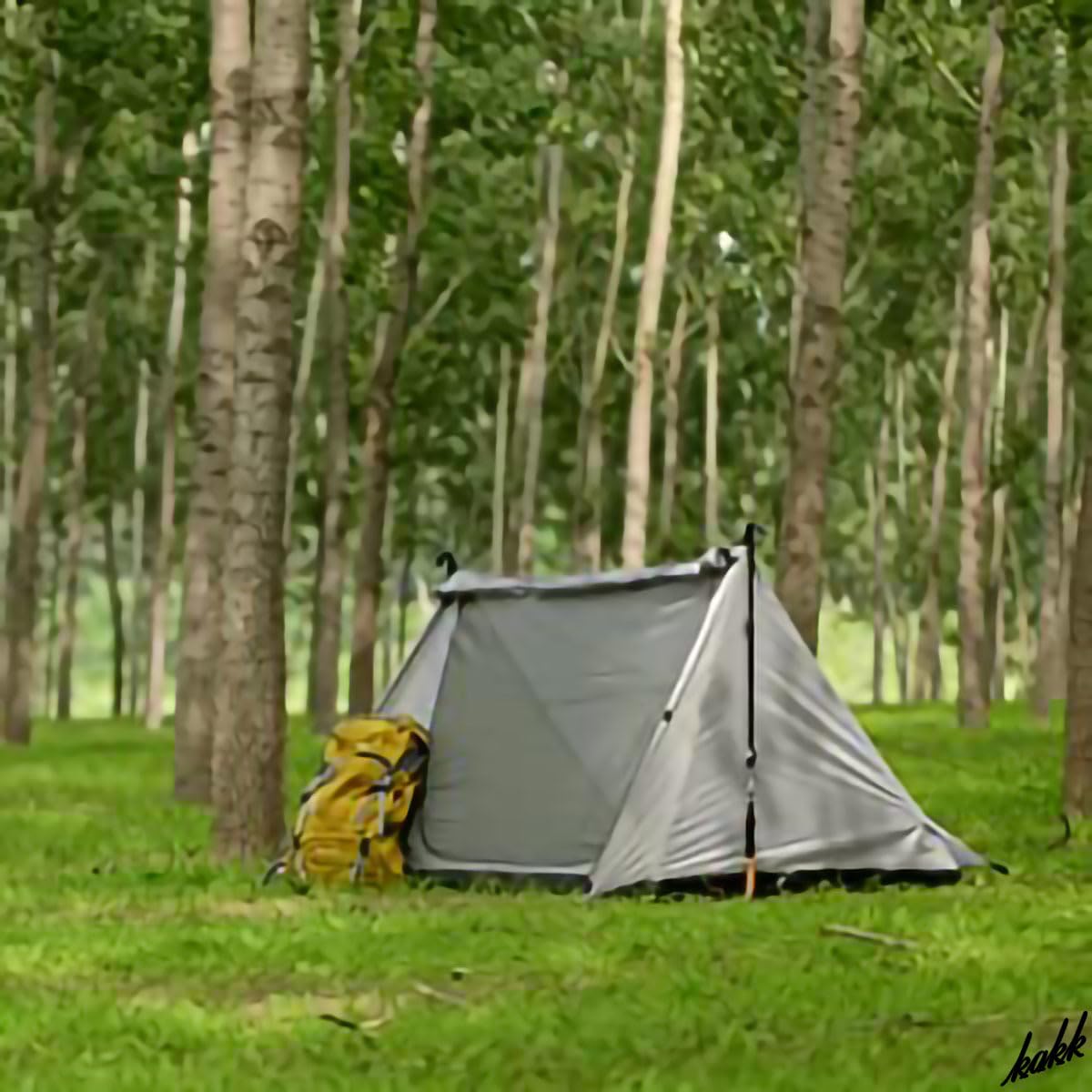 Amazon | コットが入る室内設計 グレー パップテント ツーリング