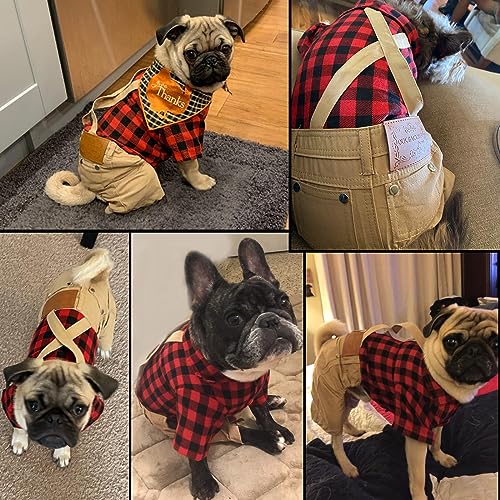 Disfraz para perro pequeño con camisa roja y pantalones caqui miniatura 7