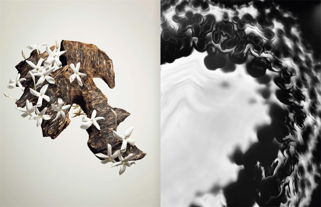 Louis Vuitton: A Perfume Atlas