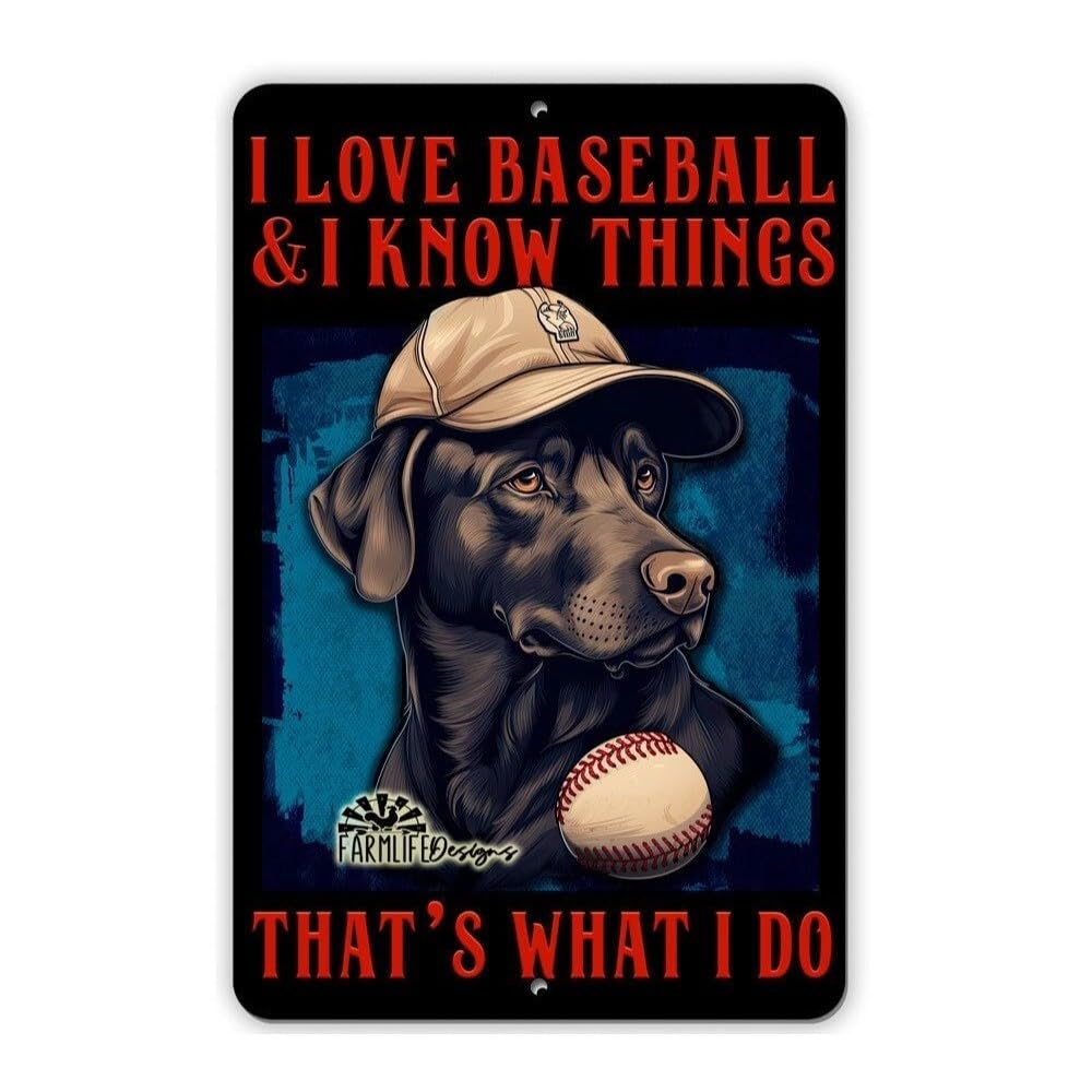 Black Lab Baseball Sign 8"x12" Funny Handmade Labrador Retriever Dog Sign home decor