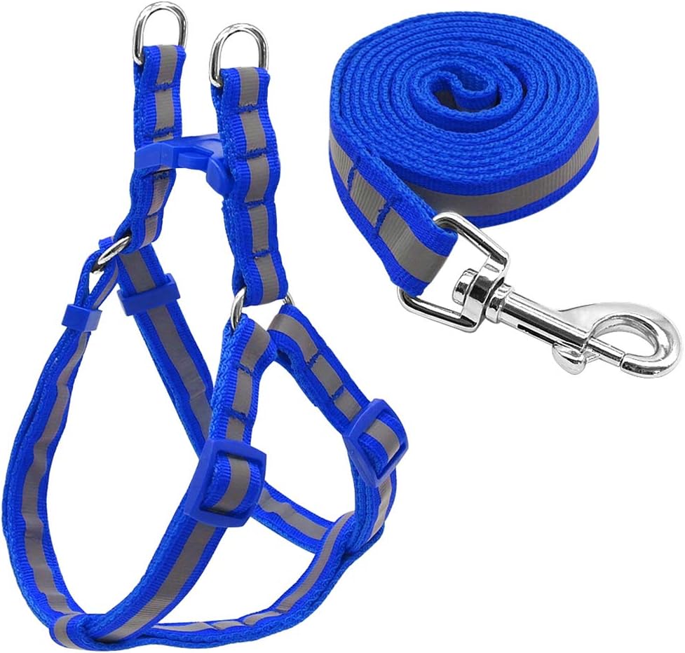 Kuntrona No Pull Reflective Nylon Dog Harness and Leash Set Step in Puppy Pug Harnesses Vest and Walking Leads for Small Medium Dogs