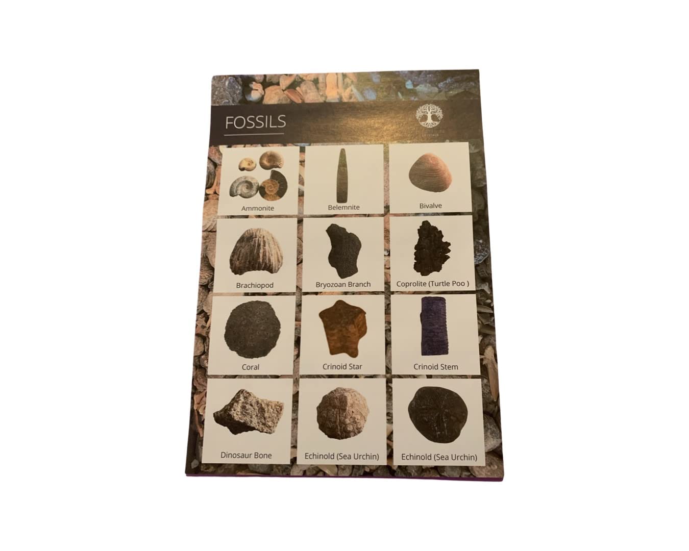 Kit Ricarica Lucidatura Pietre Shropshire - 700g, Con Pomice E Guida Cristalli, Per Hobby - Foto 9