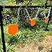 Highwild AR500 Steel Targets 3/8
