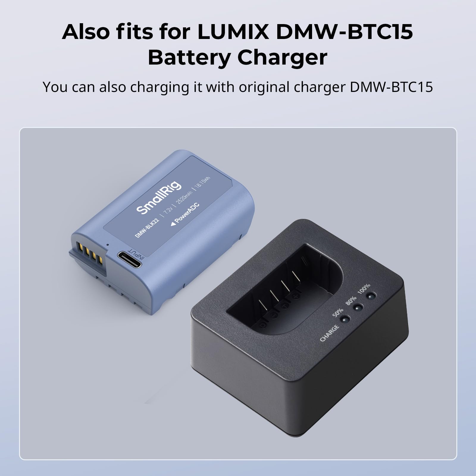 SMALLRIG Camera Battery Akku für DMW-BLK22 2520mAh USB-C Ersatzakku für Panasonic LUMIX GH5, S5, 2,5H voll aufgeladener Akku für Panasonic LUMIX GH5 II, S5 II, GH7, GH6, S9, S9 II, S5 IIX – 4906