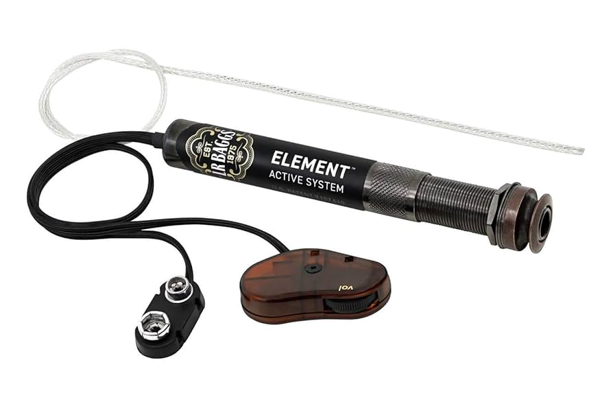 ギター L.R. Baggs Element Active System Amazon.com: LR Baggs Element Active System : Musical Instruments