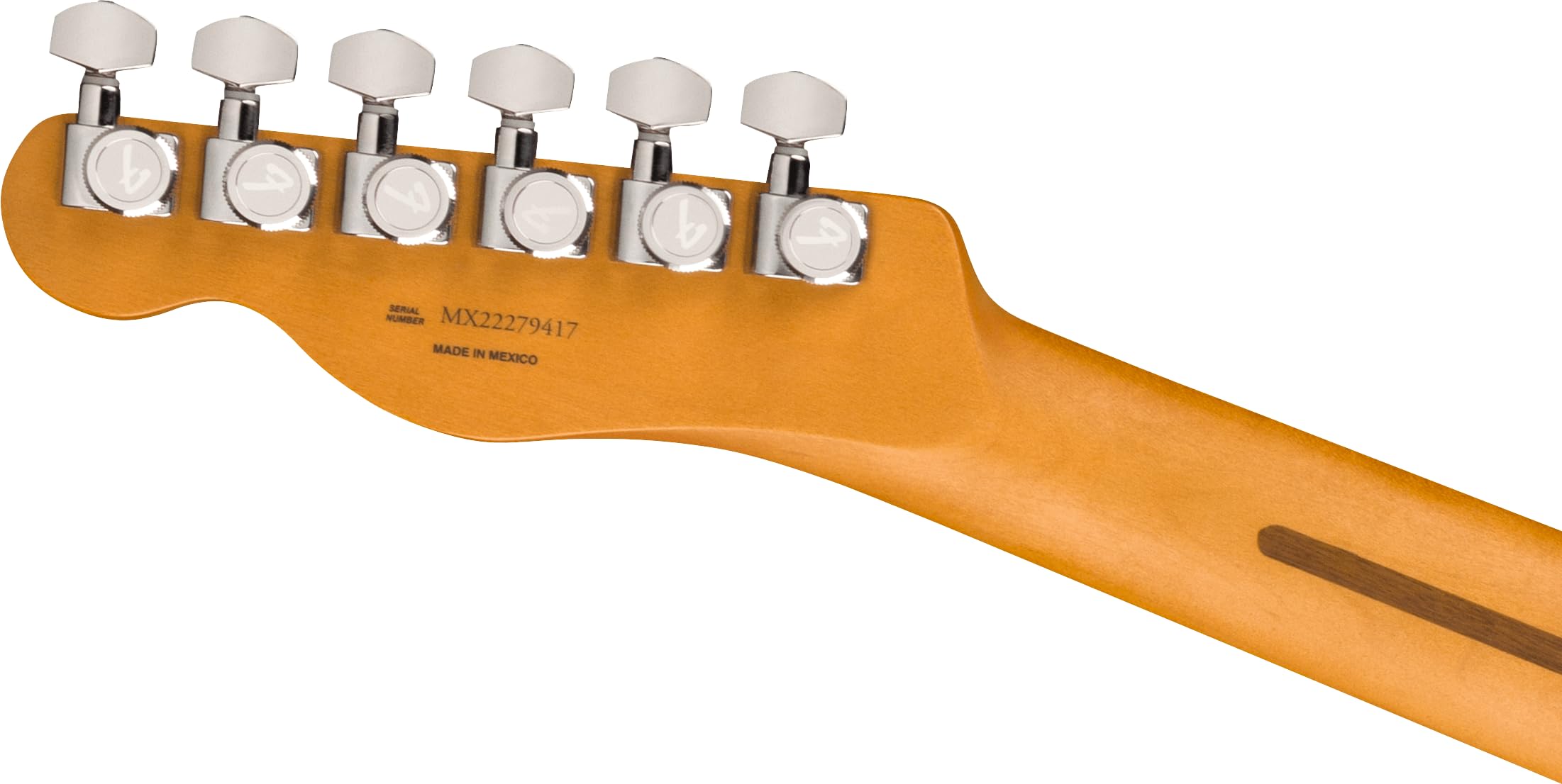 ギター Fender Player Plus Telecaster Mexico Fender Player Plus Telecaster PF Fiesta Red - Electric Guitar