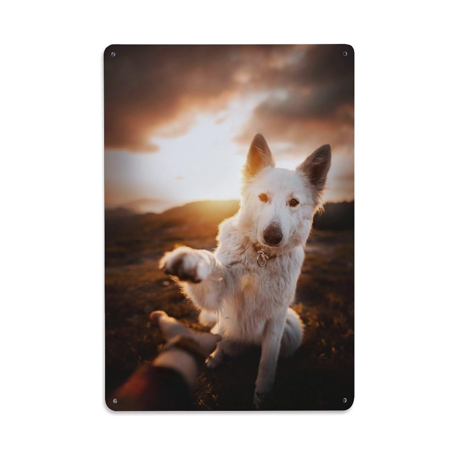 Wildlife Vintage Alps Sunset Shepherd Dog Animal Cityscape Metal Tin Sign Plaque Wall Decor for Cafe, Man Cave, Club Bar, Office, Home Garden Round Metal Poster 8x12Inch