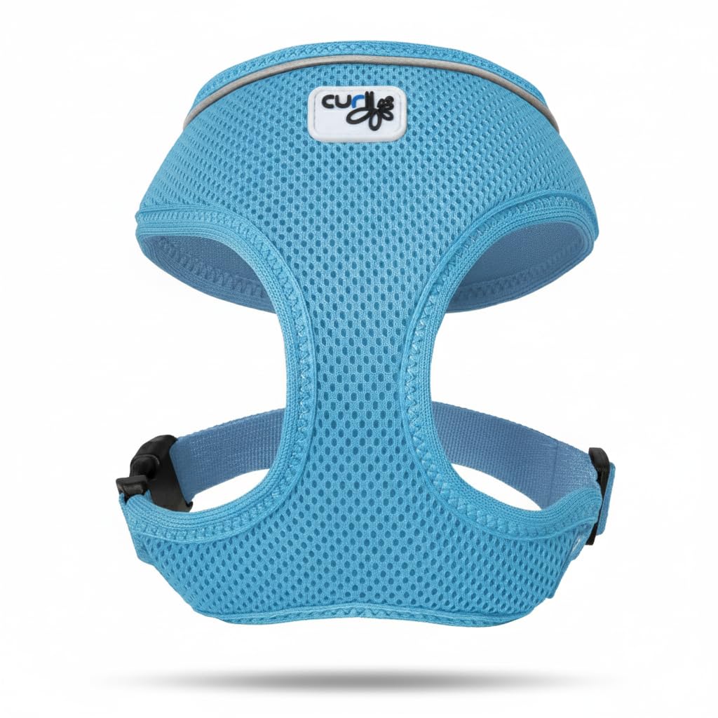 Curli Basic Harness Air-Mesh Skyblue XL