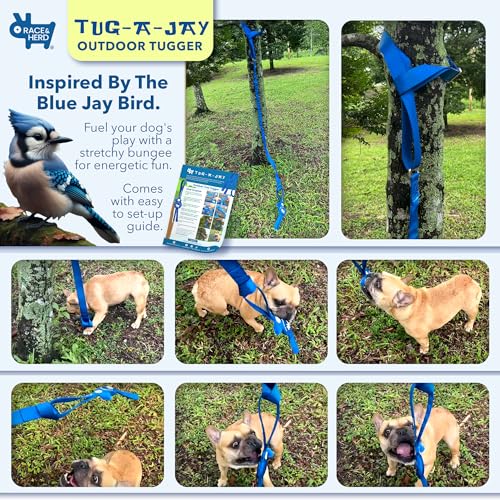 Race&Herd Tug-A-Jay Tree Tugger - Tether Tug Outdoor Dog Toy, Dog Tether Bungee Tug Toy, Tug of War Dog Toys, Dog Backyard Play Equipment Rope, Yard Dogs Playground Equipment, Puppy Outdoor Play - Image 4