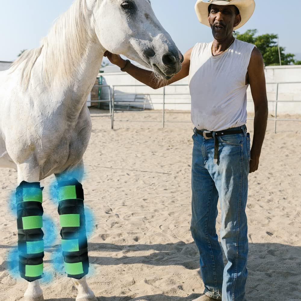 Botas de hielo de caballo para lesiones de caballo, dolor muscular, enfriar las piernas, abrigos fríos para hock, tobillo, rodilla, piernas, botas y pezos, negro verde, 1 par (2 paquetes)