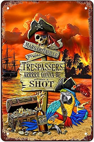 Retro Funny Metal Sign Sheet Signs Tin Sign,Parrot Pirate,outdoor Home Wall Decoration,size：8x12
