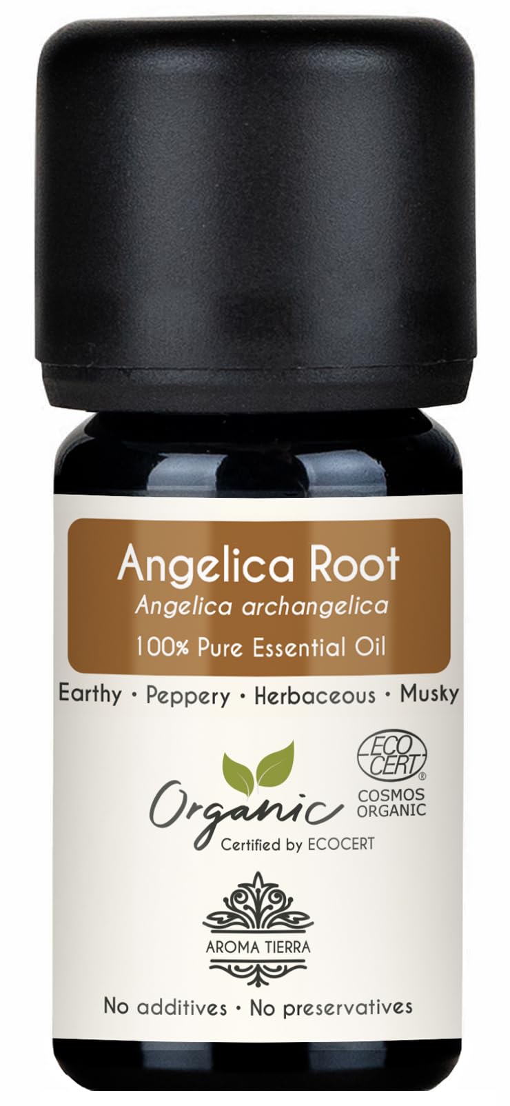 Aroma Tierra Organic Angelica Root Essential Oil 5ml - 100% Pure & Undiluted - Earthy, Herbaceous & Musky - For Aromatherapy, Perfumery, Diffuser, Relaxation & Skin