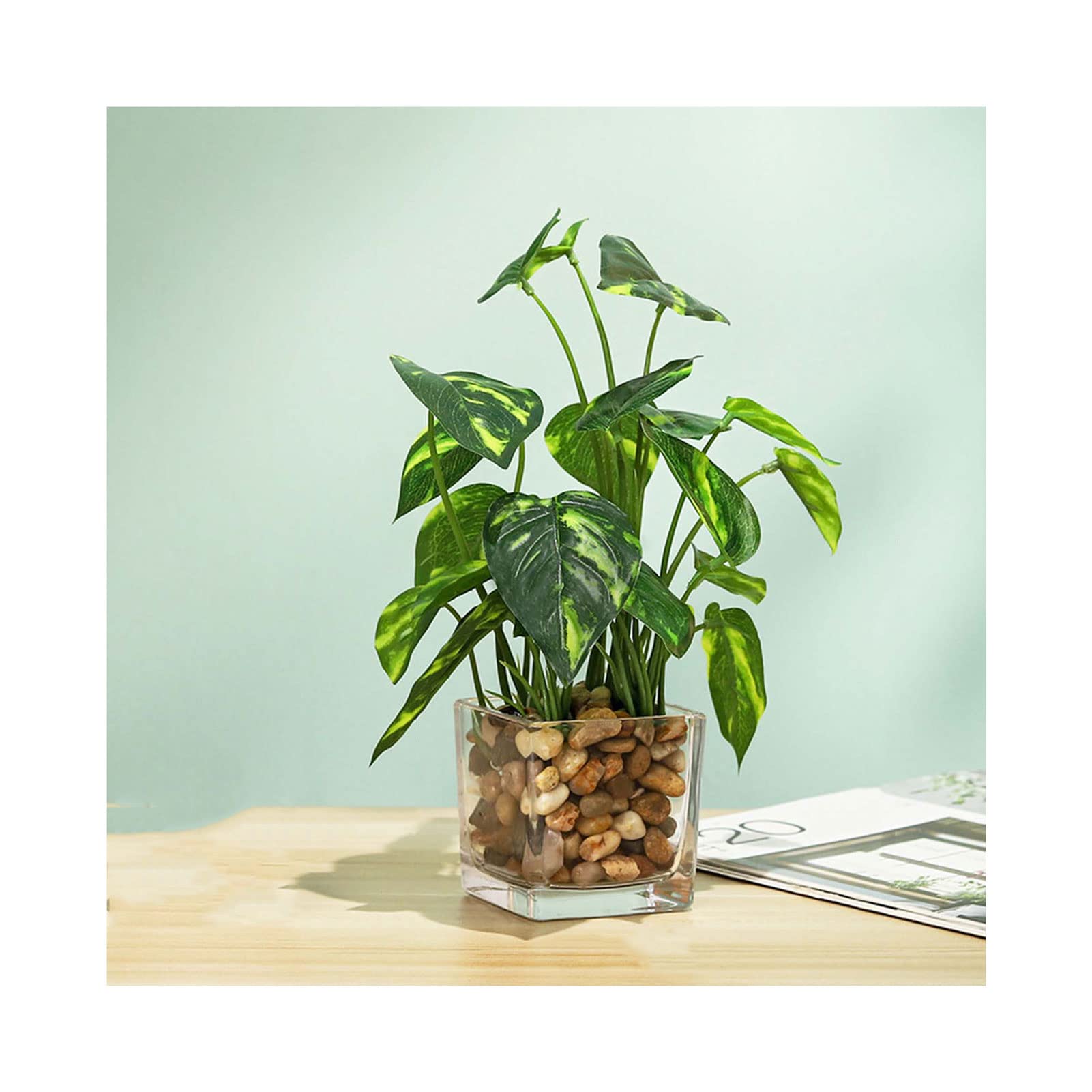 DecorsureFake Plants Ultra Lifelike Artificial plants indoors in pots with Glass Pots for Office Desk Home Bathroom Table Decoration (Evergreen)