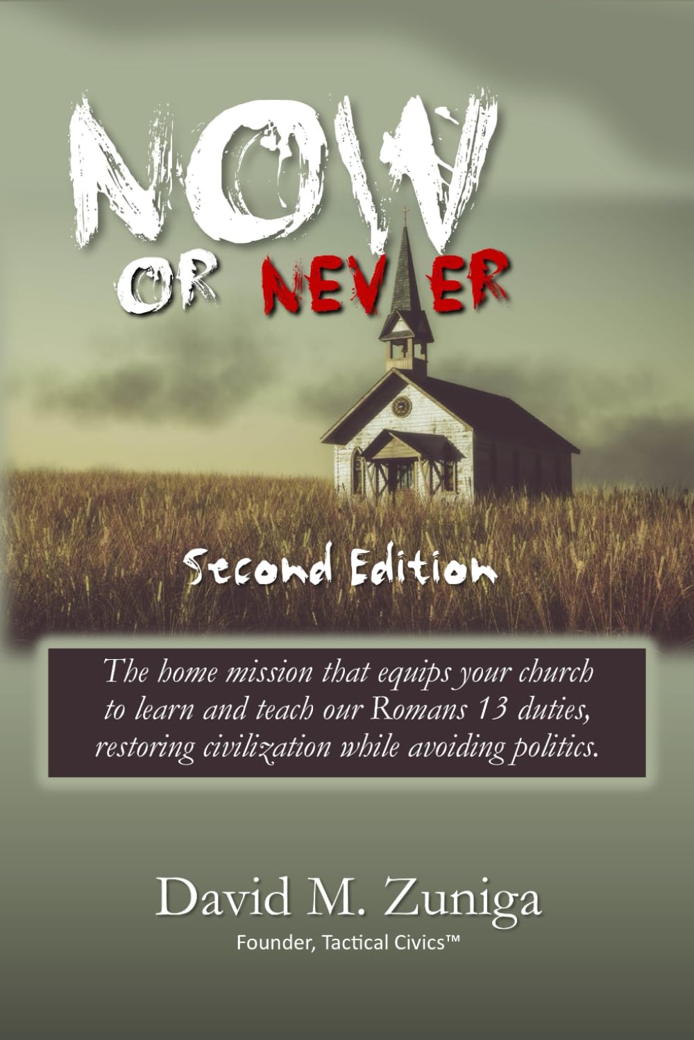 Now or Never: The home mission that equips your church to learn and teach our Romans 13 duties, restoring civilization while avoiding politics.