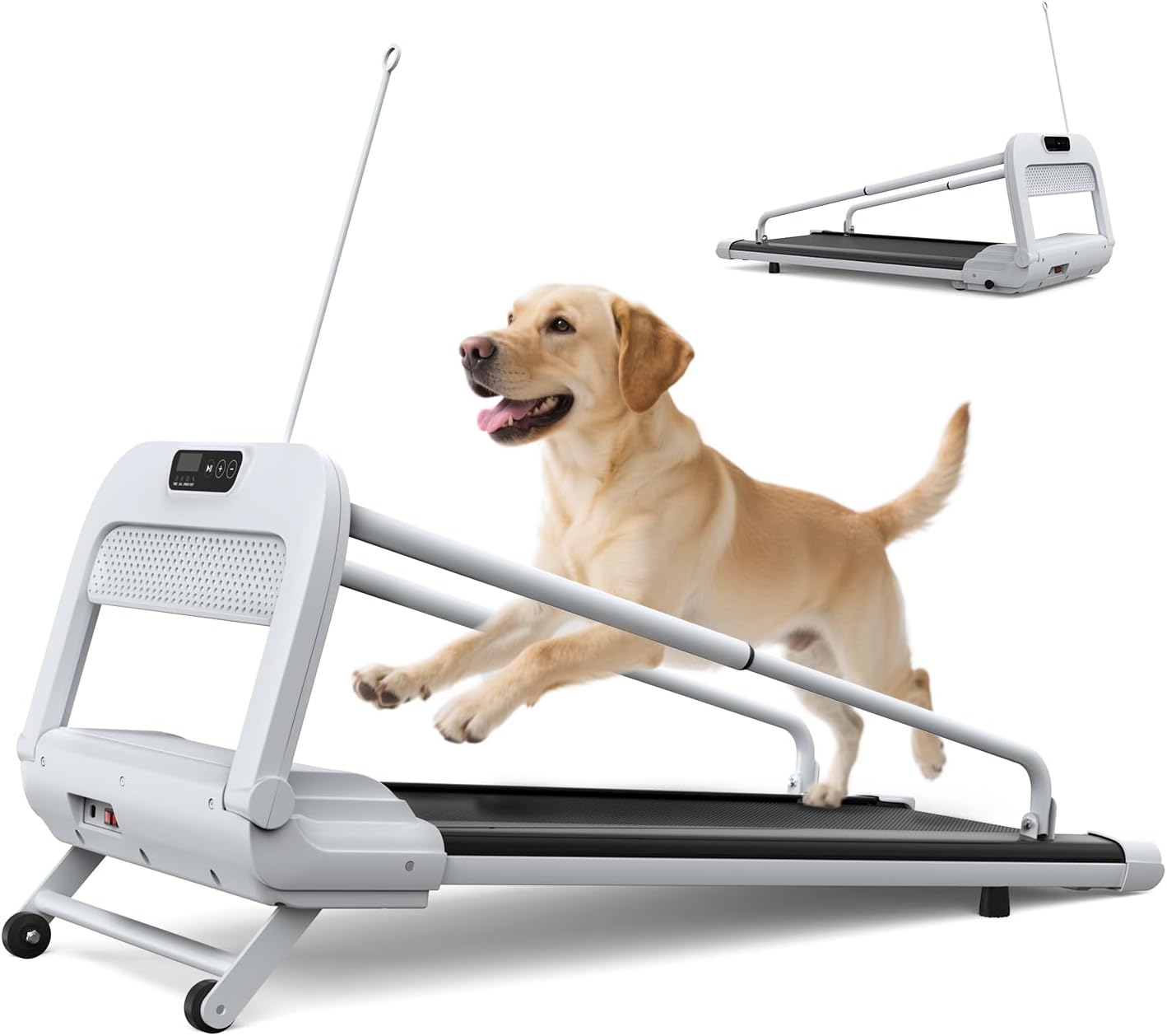 FYC 2025 नए शांत कुत्ते ट्रेडमिल के लिए छोटे, मध्यम और चुनिंदा बड़े कुत्तों, 265lbs क्षमता के साथ 6 ° इनलाइन, 2.5hp अल्ट्रा-शांत मोटर, रिमोट कंट्रोल और आसान स्टोरेज के साथ 265lbs क्षमता का पीईटी ट्रेडमिल