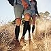 Laite Hebe Compression Socks For Women& Men circulation(8 Pairs),Socks-Best for Running,Sports,Hiking,Flight travel,Pregnancy