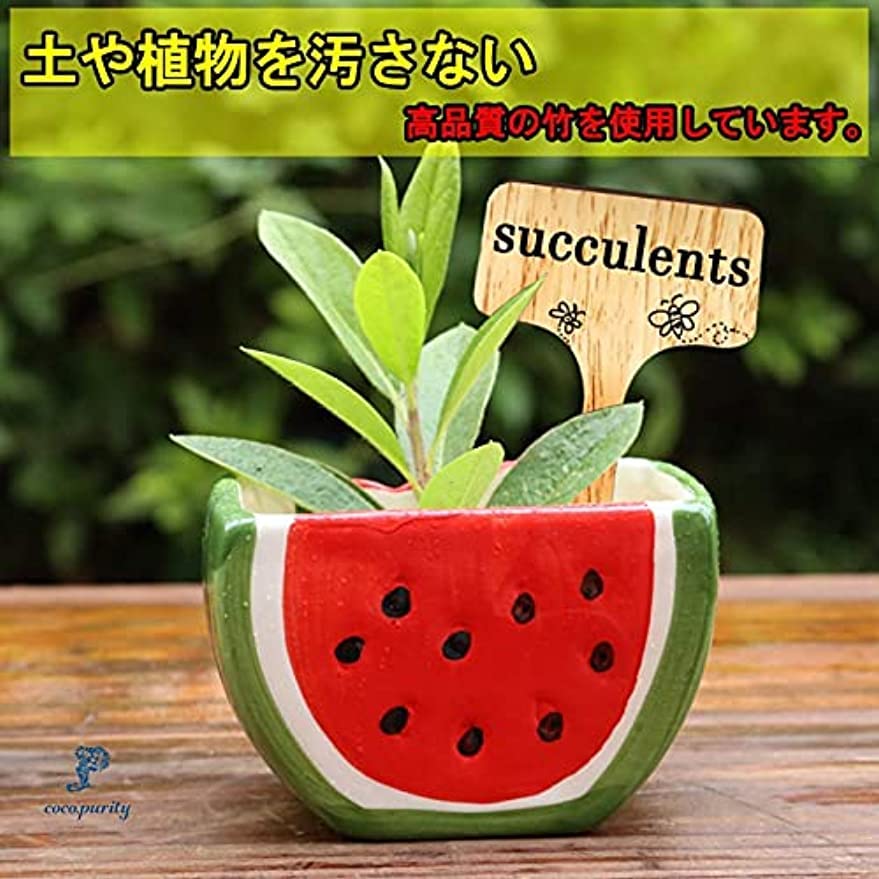 Amazon.co.jp: 園芸用ラベル 植物 花 タグ ネームプレート 天然 木製