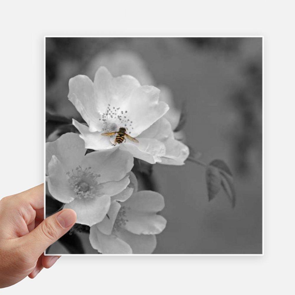 Autocollant fleurs noir et blanc 20x20 cm grand sticker carré déco murale et pc 4Pcs