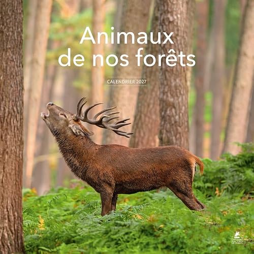 2027 Animaux de nos forêts Calendrier