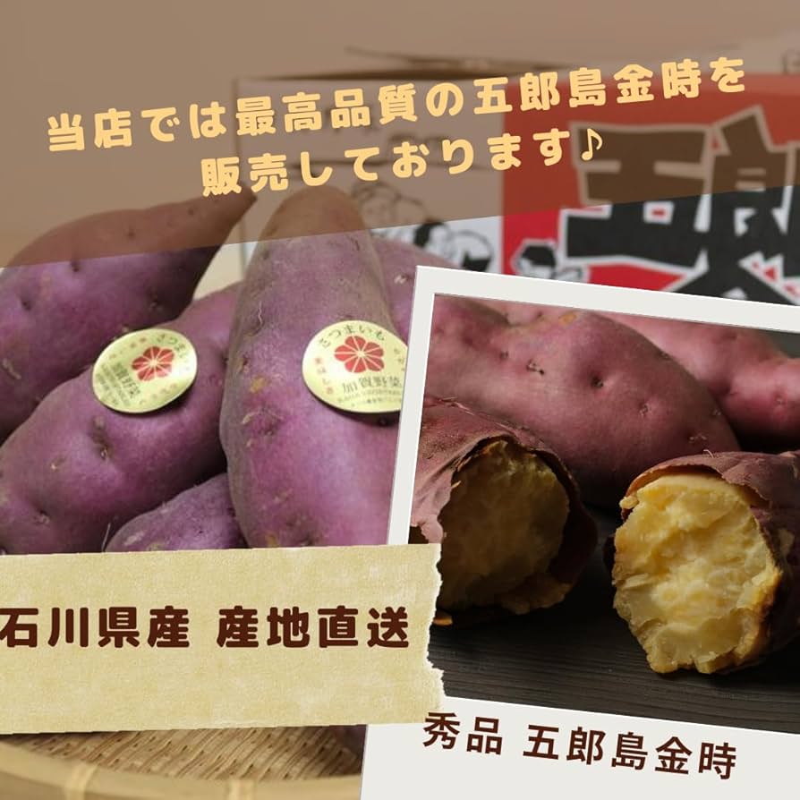 Amazon.co.jp: 【MSKSHOP】五郎島金時 秀品 Mサイズ さつまいも