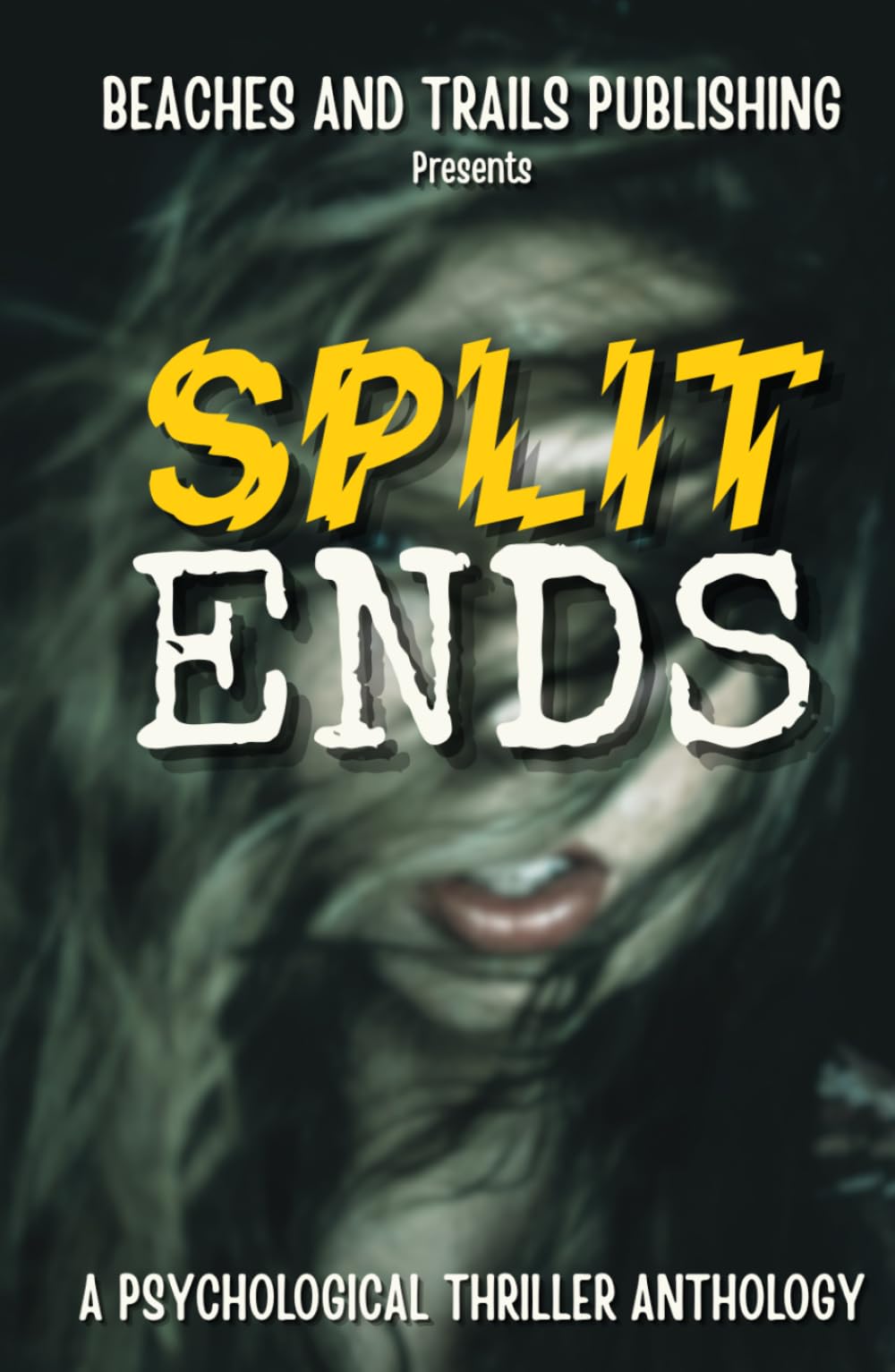 Split Ends: A Psychological Thriller Anthology