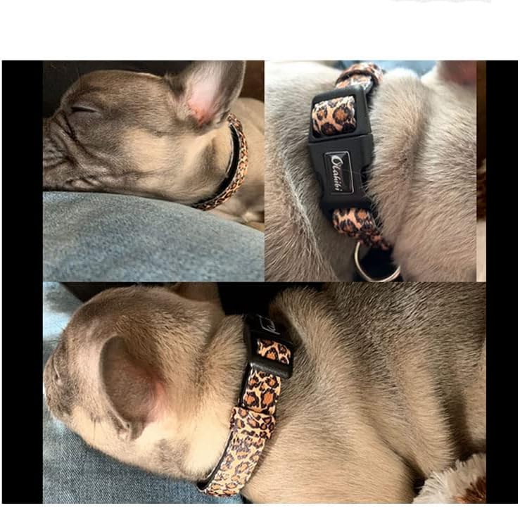 Olahibi Leopard Pattern Dog Collar, Polyester Webbing, Padded with Neoprene, Soft and Comfortable for Small Medium Large Dogs.(Small, Leopard)